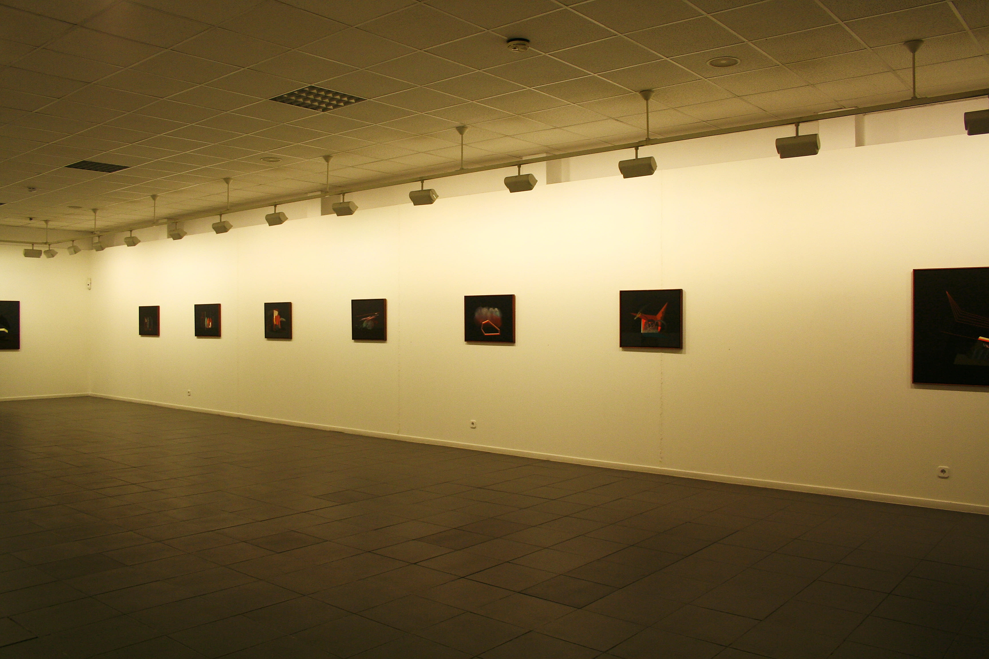 Exposición de Pedro Muiño, Galeria Clerigos, Lugo, 2012